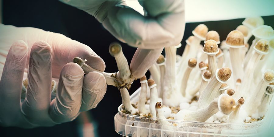 Co to dla ciebie oznacza? Co to dla ciebie oznacza?