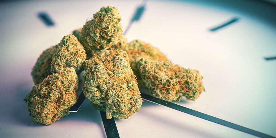 JAK DŁUGO UTRZYMUJE SIĘ HAJ PO MARIHUANIE?