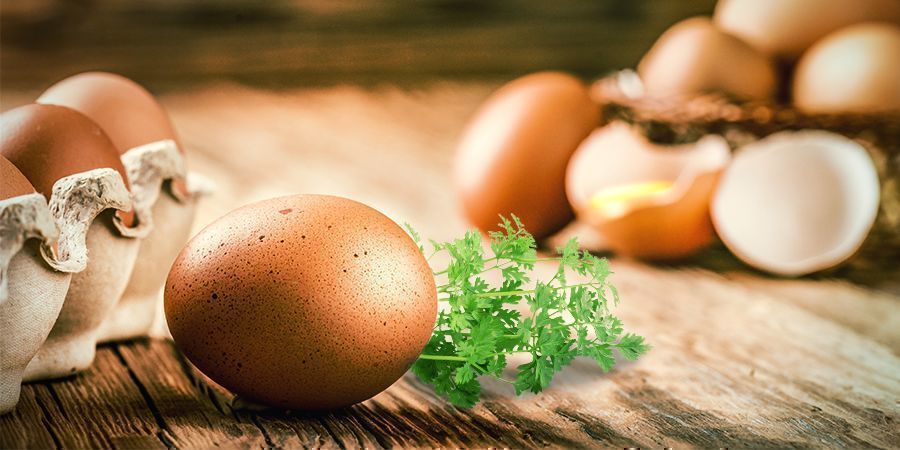 Już zebrałeś swoją marihuanę, co dalej? JUŻ ZEBRAŁEŚ SWOJĄ MARIHUANĘ, CO DALEJ?