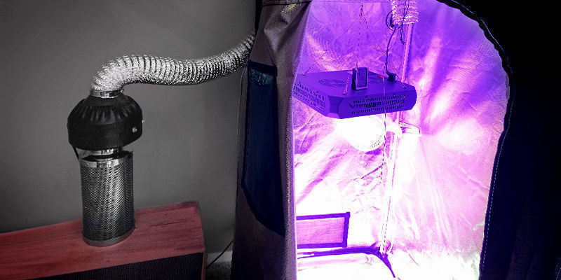 Outside The Grow Tent