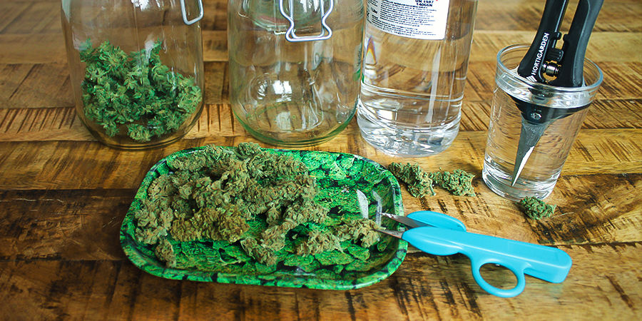 Jak utrzymać nożyczki do przycinania marihuany w czystości