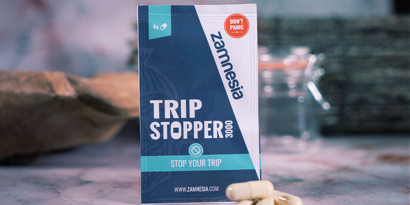 Jak zatrzymać lub oswoić halucynacje