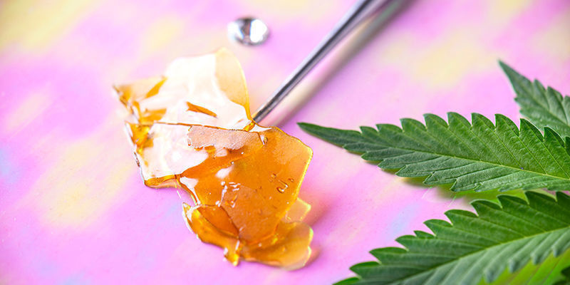 Czynniki wpływające na siłę działania psychoaktywnego konopi