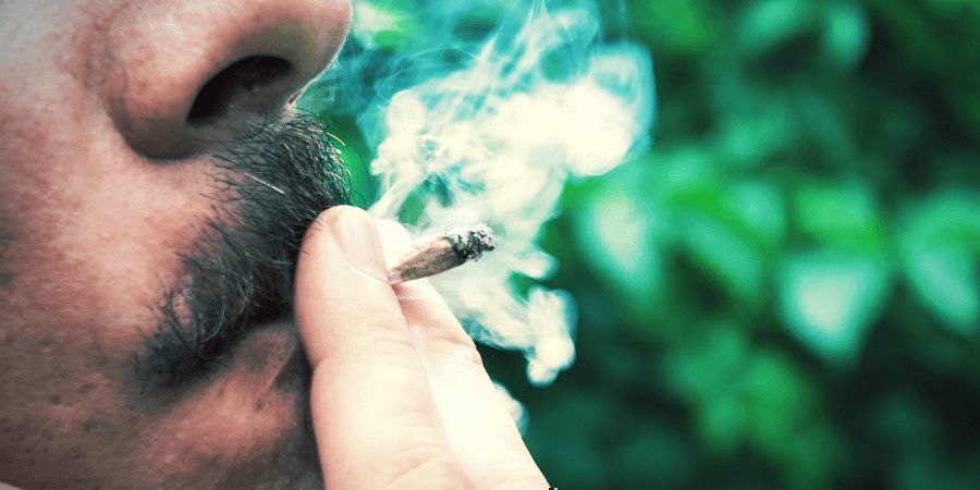 Możesz spalić całego jointa MOŻESZ SPALIĆ CAŁEGO JOINTA