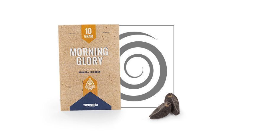 Morning Glory (Ipomoea tricolor) 10 gramów