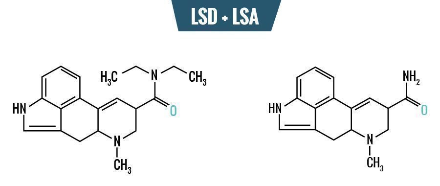 LSD vs. LSA – różnice