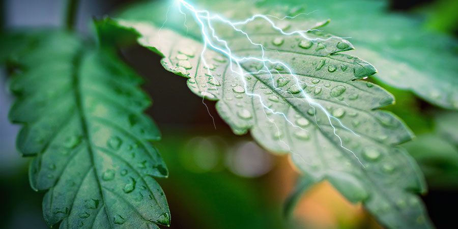 Wilgotność i wysokie temperatury Humidity And High Temperatures