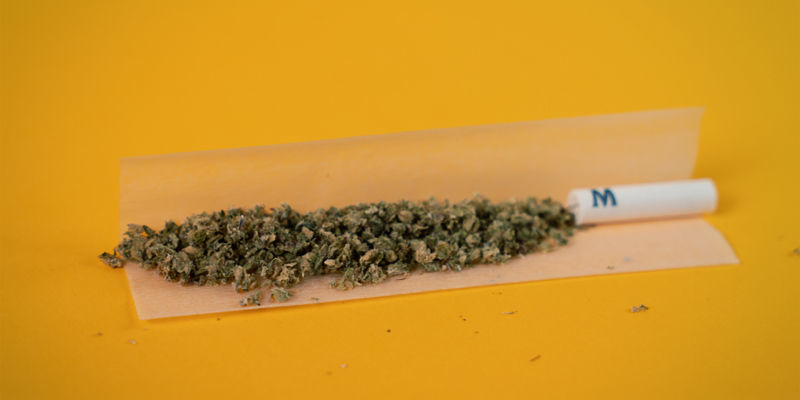 Jak skręcić jointa, który nie będzie się nierówno palił: Równomiernie ubij susz