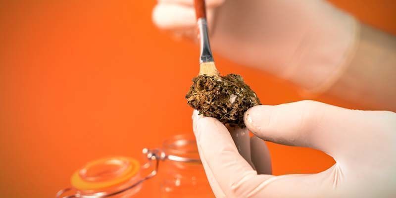 Now That Your Oil Is Ready, It'S Time For A Little Painting Now That Your Oil Is Ready, It'S Time For A Little Painting