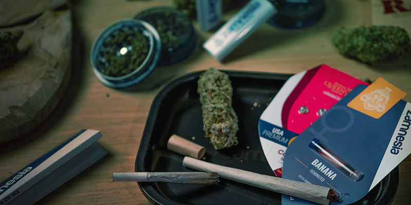 Spraw, by buchy były mocniejsze: odmiany o wysokiej zawartości THC