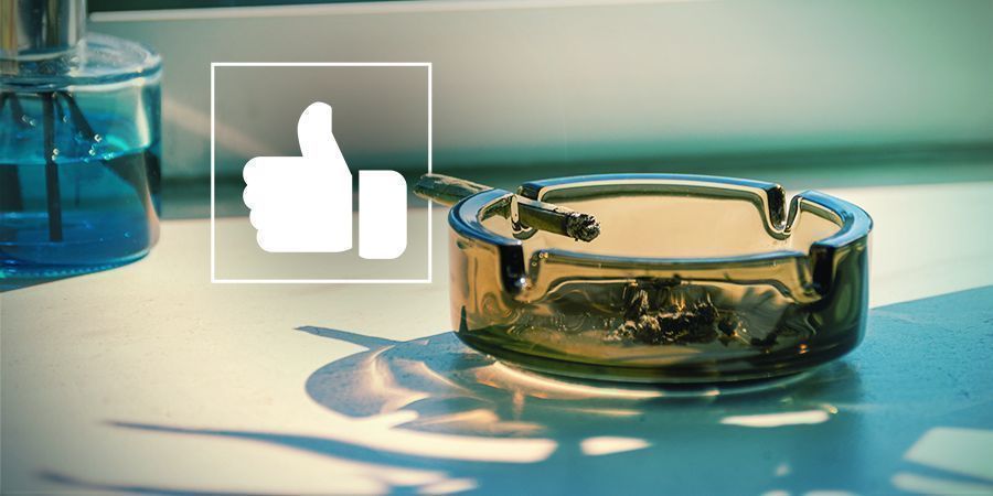 Strzepnij popiół z jointa przed podaniem