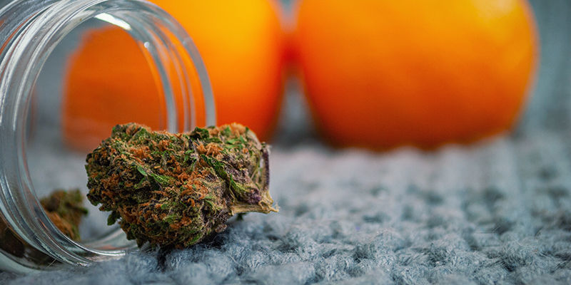 Masz zioło, ale nie masz jak go zapalić? Spokojnie! Masz zioło, ale nie masz jak go zapalić? Spokojnie!