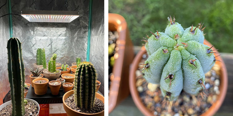 Wymagania świetlne Wymagania świetlne