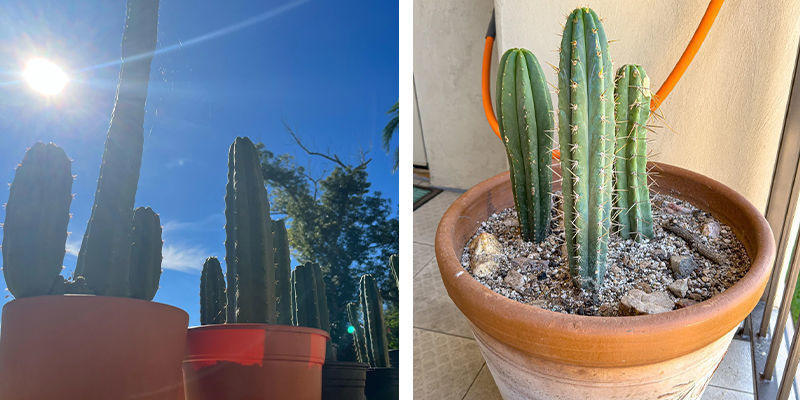 Temperatura i wilgotność Temperatura i wilgotność