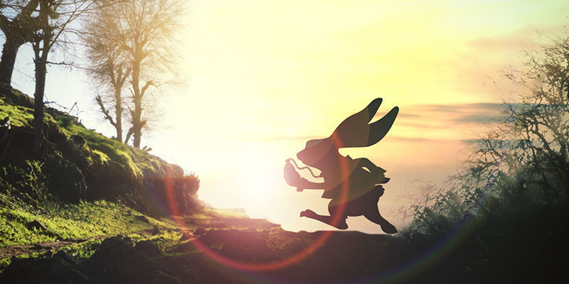 Teoria psychodeliczna od lat 60. Teoria psychodeliczna od lat 60.