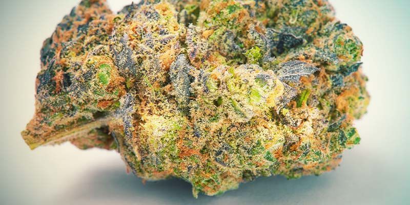 Uważaj na nadmierną wilgoć i pleśń