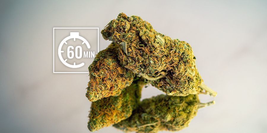 Nawilżenie wysuszonych topów: szybkie metody (w ciągu kilku godzin)