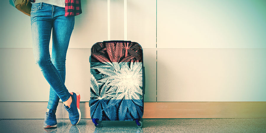 A Look At The History Of Cheese Strains A Look At The History Of Cheese Strains