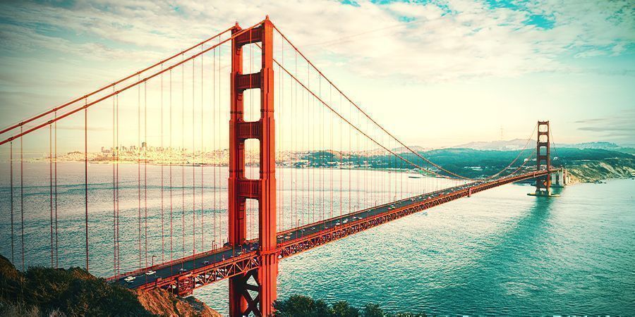 Girl Scout Cookies - idealna odmiana dla dorosłych skautek