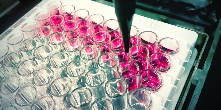 Czego szukają testy narkotykowe? Czego szukają testy narkotykowe?