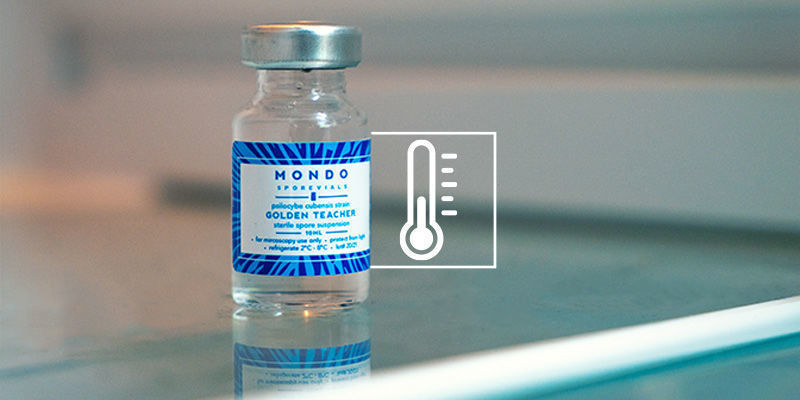 Jak długo wytrzymują fiolki ze sporami?