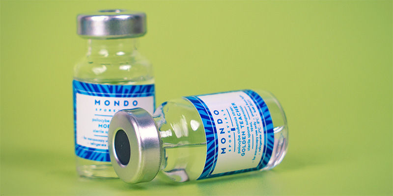 Czym jest fiolka ze sporami?