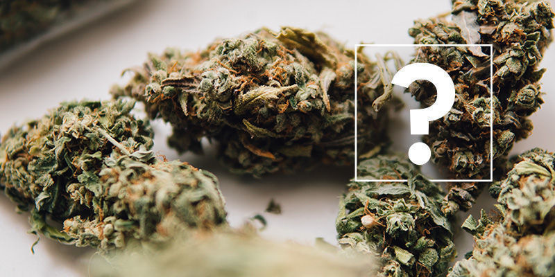 Efekt otoczenia: FAQ