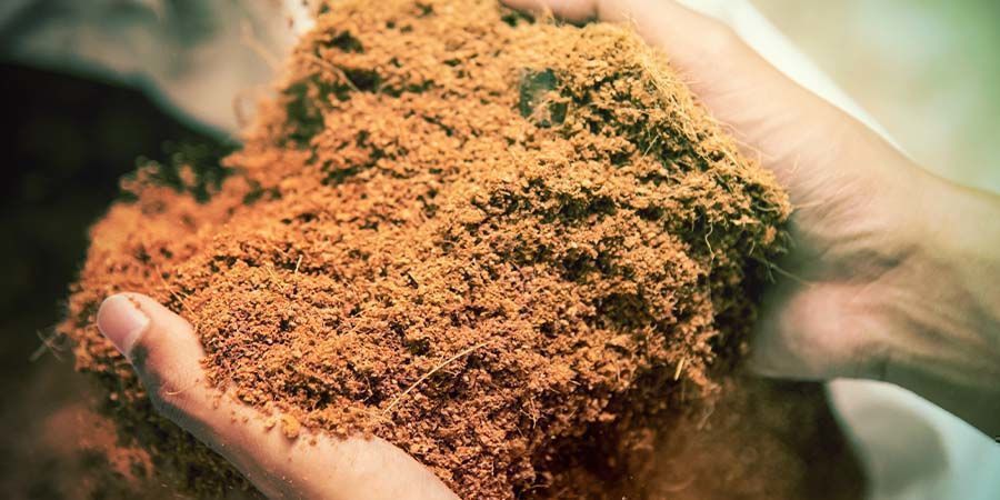 PRZYGOTOWANIE KOKOSU DO PONOWNEGO UŻYCIA