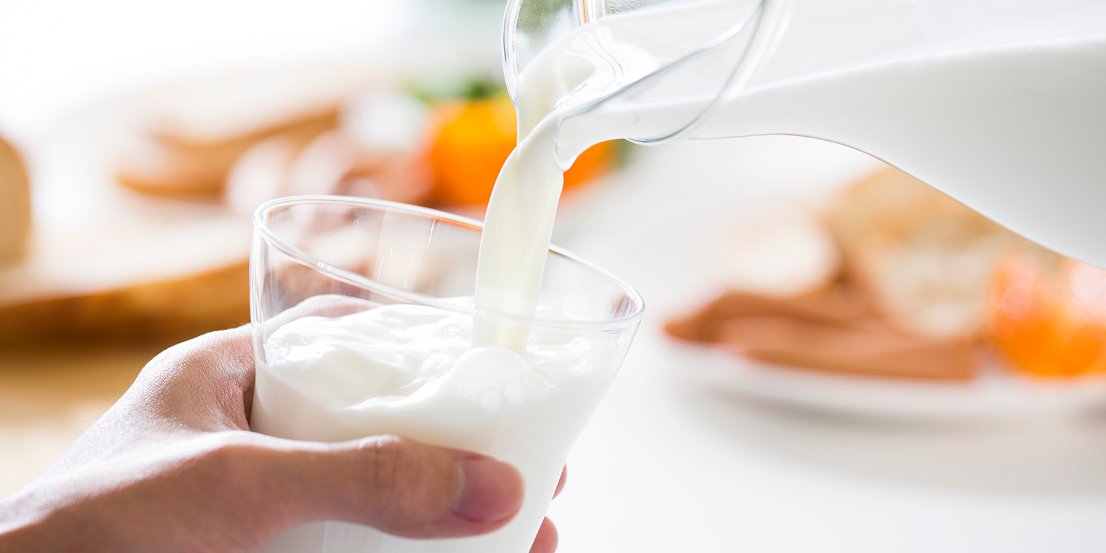 Mit 2: Mleko oczyszcza mocz Mit 2: Mleko oczyszcza mocz