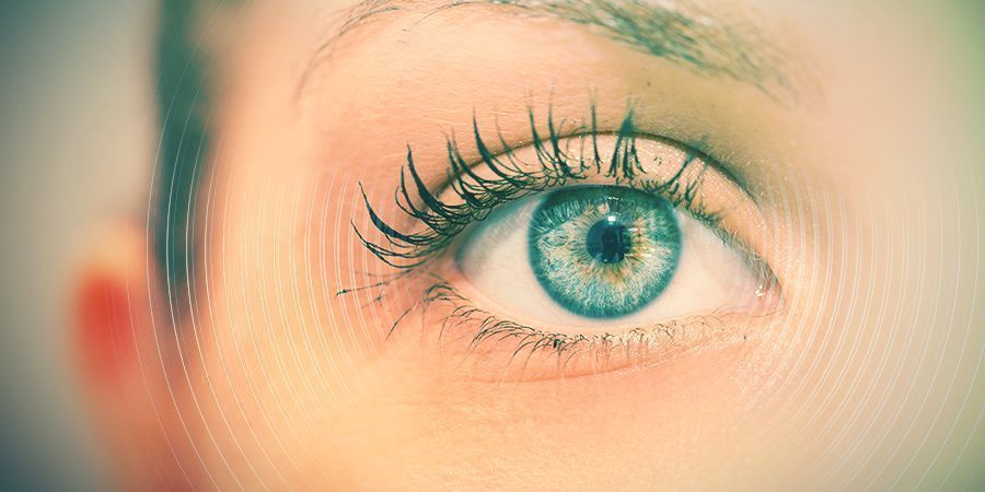 Jak szałwia wieszcza wpływa na mózg