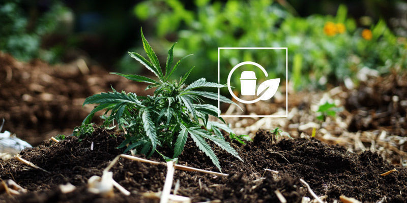 Jak przygotować ROLS