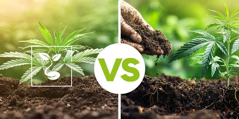 Jaka jest różnica między żywą glebą a zwykłą glebą?