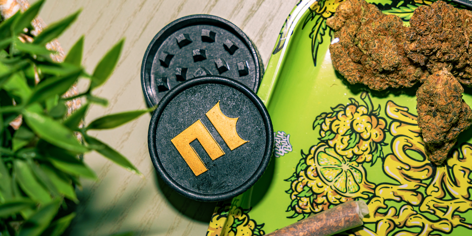 Biodegradowalny młynek z konopi: Zamnesia