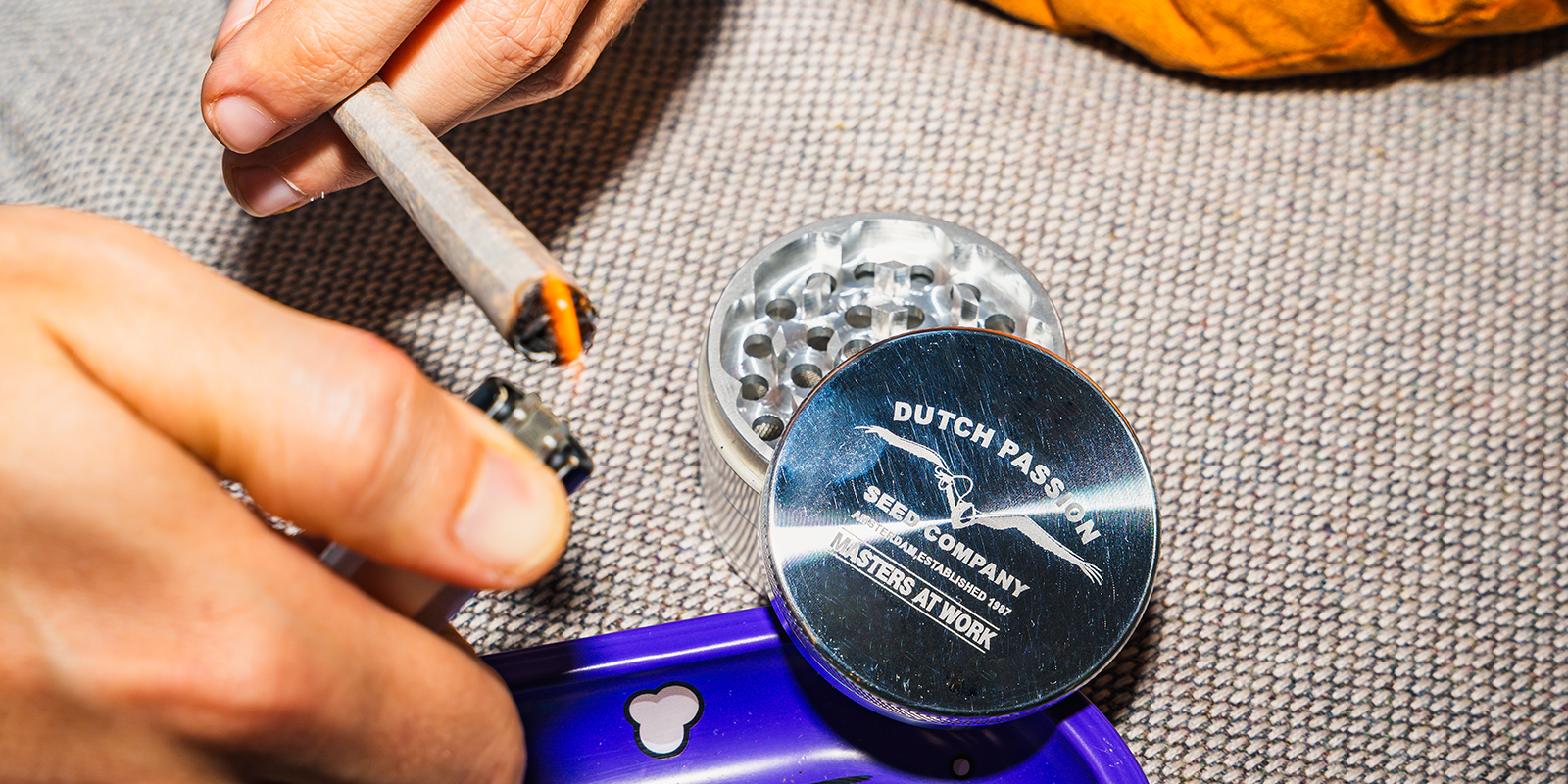 Młynek Dutch Passion Pollinator: Dutch Passion