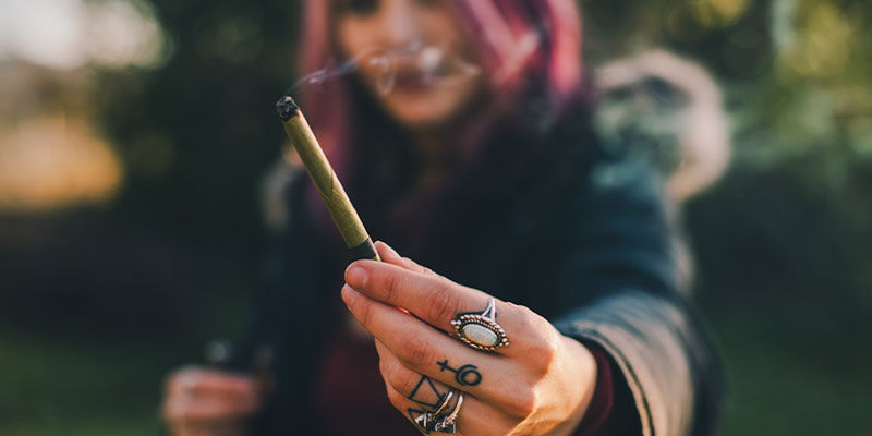 Rozsmakuj się w swojej miłości do Kush