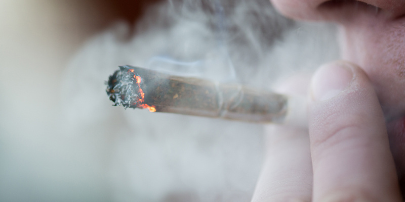 Czy odmiany 1:1 THC dają haj? Czy odmiany 1:1 THC dają haj?