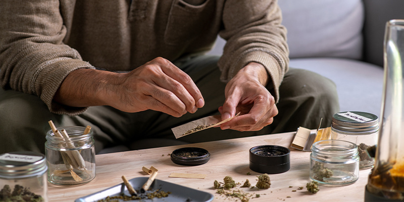 Komu polecane są odmiany 1:1? Komu polecane są odmiany 1:1?