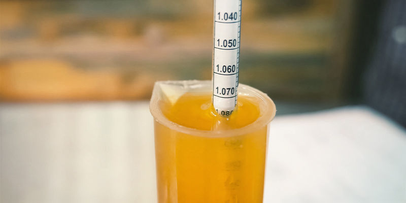 Czym EBU różni się od IBU? Czym EBU różni się od IBU?