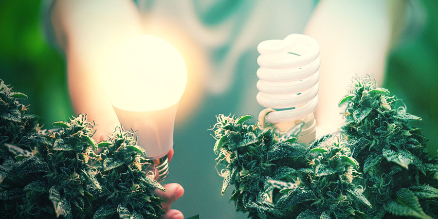 Zaawansowana technologia oświetlenia