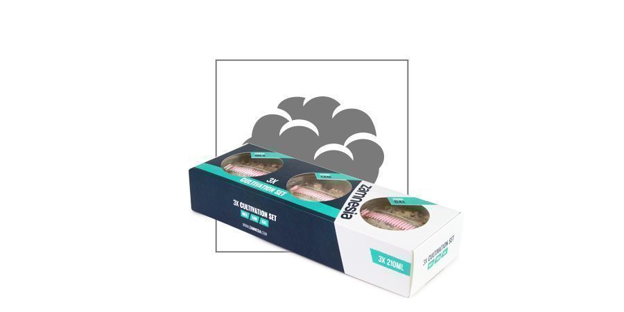 Zestaw do uprawy magicznych trufli