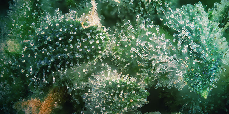 3. Zbiory w odpowiednim momencie