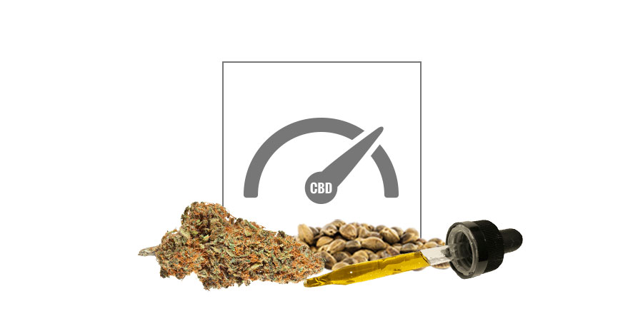 Odmiany konopi o wysokiej zawartości CBD