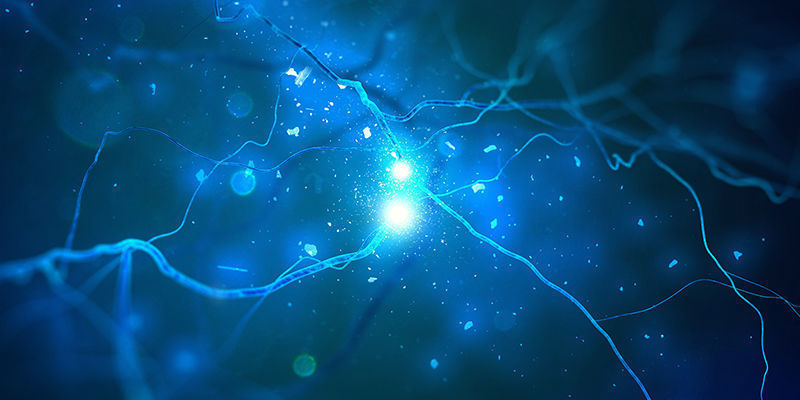 Receptory kannabinoidowe