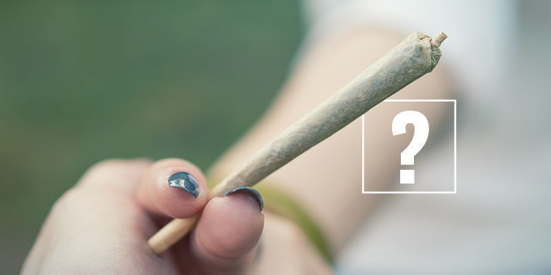 Czy powinieneś martwić się klinicznym niedoborem endokannabinoid&oacute;w?