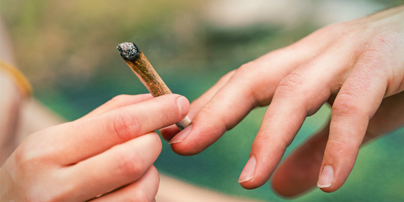 Czym dokładnie jest układ endokannabinoidowy?