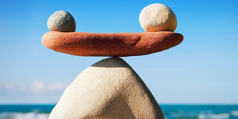 Dlaczego homeostaza jest ważna