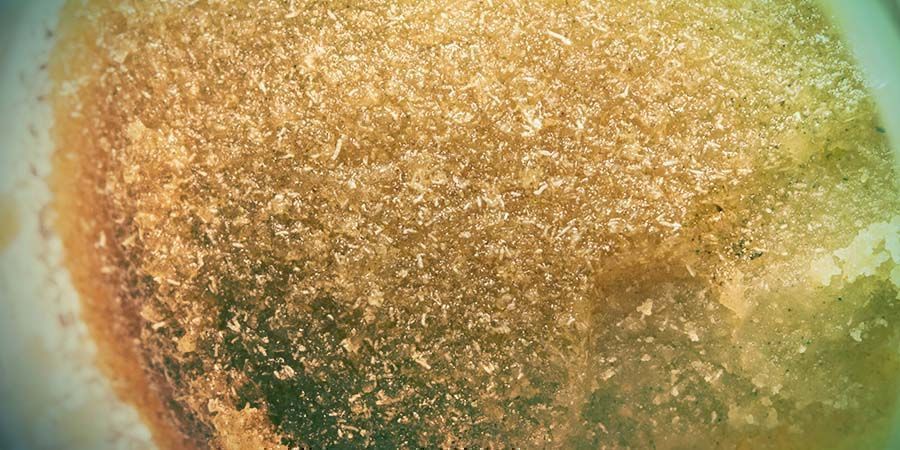 Koncentrat z konopi: Iceolator - pełnotopniejący Bubble Hash