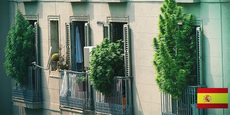 NASTĘPNY PRZYSTANEK NA KONOPNEJ TRASIE: HISZPANIA!