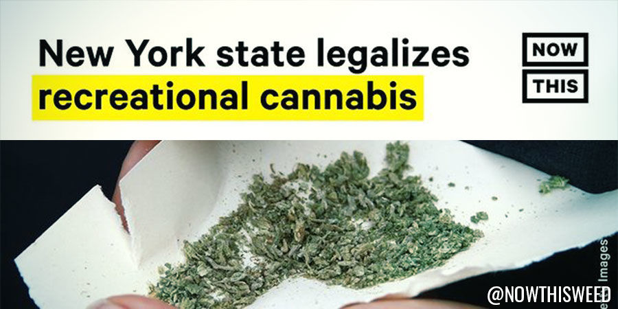 Now This Weed Now This Weed - Instagram