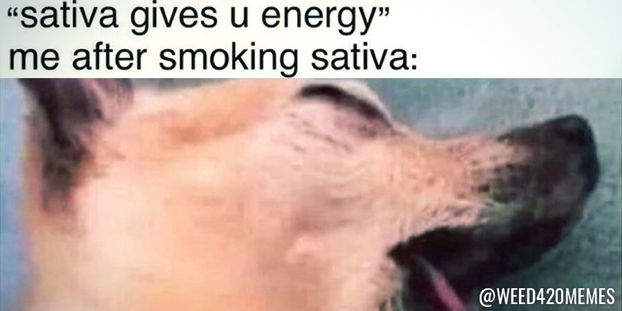 Weed 420 Memes Weed 420 Memes - Instagram